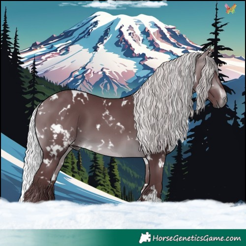 Horse Color:White Spotted Chocolate Silver Brown Chinchilla