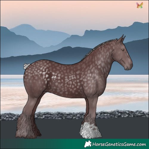 Horse Color:Chocolate Silver Black Chinchilla 