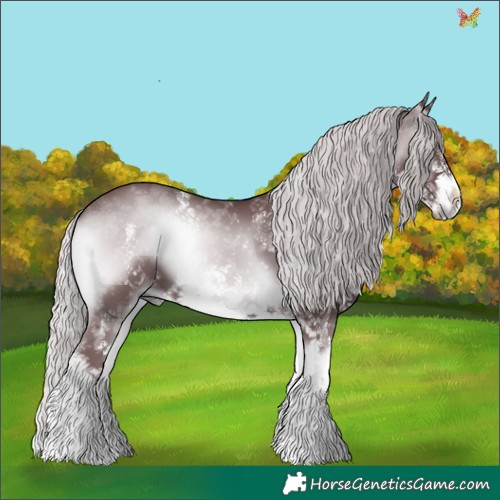 Horse Color:White Spotted Chocolate Silver Blue Onyx Chinchilla