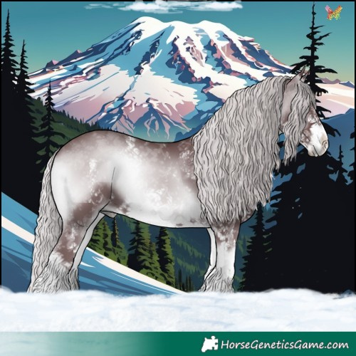 Horse Color:White Spotted Chocolate Silver Blue Onyx Chinchilla 