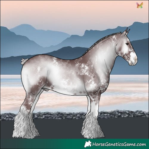 Horse Color:White Spotted Chocolate Silver Blue Onyx Chinchilla 