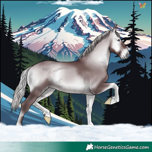 Horse Color:Chocolate Silver Brown Chinchilla Onyx 