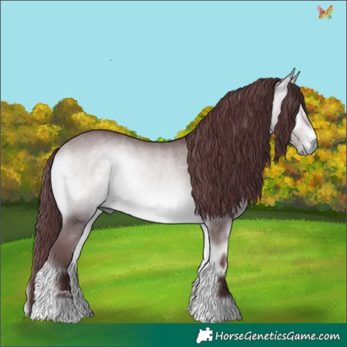 Horse Color:Chocolate Bay Chinchilla Onyx