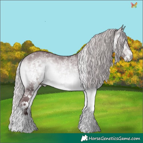 Horse Color:White Spotted Chocolate Silver Bay Chinchilla Onyx