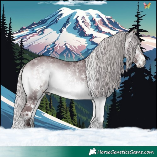 Horse Color:White Spotted Chocolate Silver Bay Chinchilla Onyx 