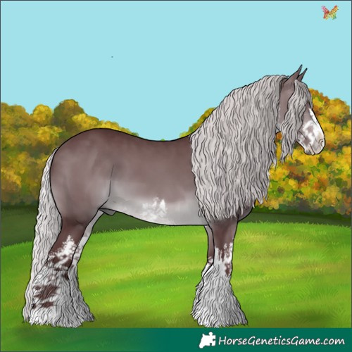 Horse Color:White Spotted Chocolate Silver Brown Chinchilla