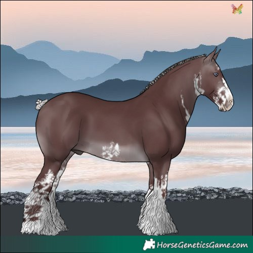 Horse Color:White Spotted Chocolate Silver Brown Chinchilla 