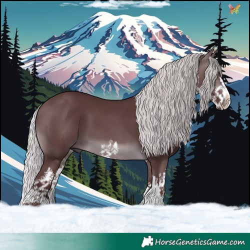 Horse Color:White Spotted Chocolate Silver Brown Chinchilla 