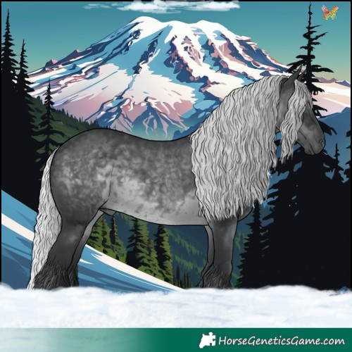 Horse Color:Silver Black Chinchilla 