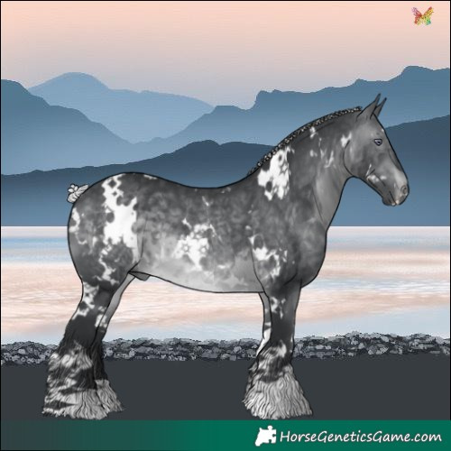 Horse Color:White Spotted Silver Brown Chinchilla 