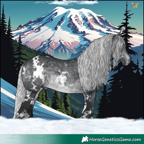 Horse Color:White Spotted Silver Brown Chinchilla 