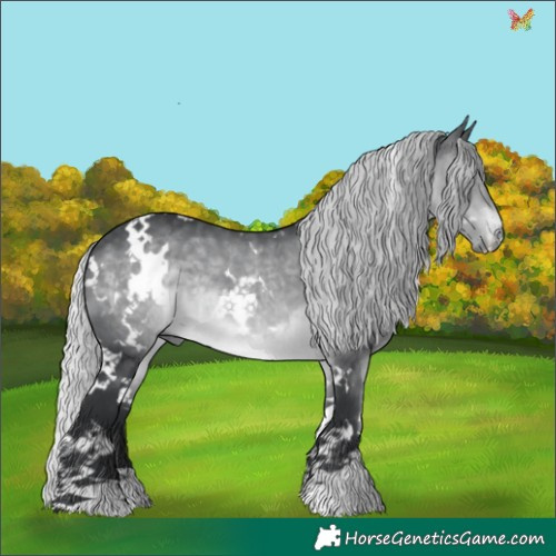 Horse Color:White Spotted Silver Brown Chinchilla