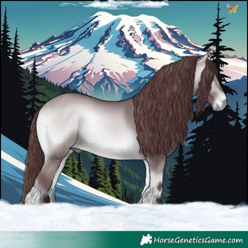 Horse Color:Chocolate Bay Chinchilla Onyx 