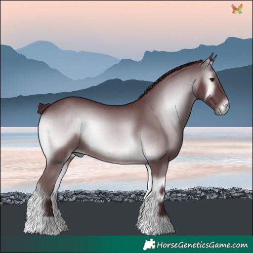 Horse Color:Chocolate Blue Onyx Chinchilla 