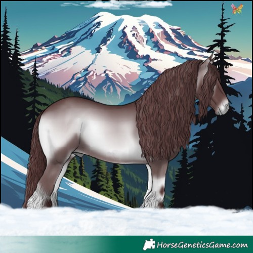 Horse Color:Chocolate Blue Onyx Chinchilla