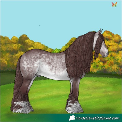 Horse Color:Chocolate Bay Chinchilla 