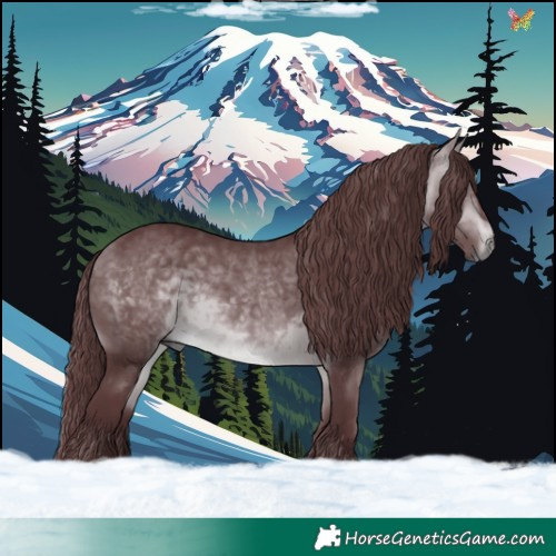 Horse Color:Chocolate Bay Chinchilla 