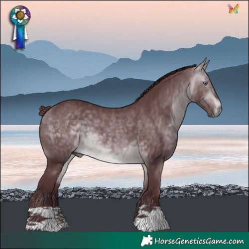 Horse Color:Chocolate Bay Chinchilla 
