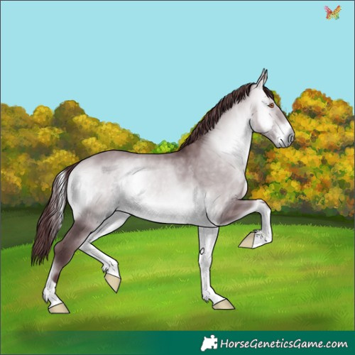 Horse Color:Chocolate Bay Chinchilla Onyx 