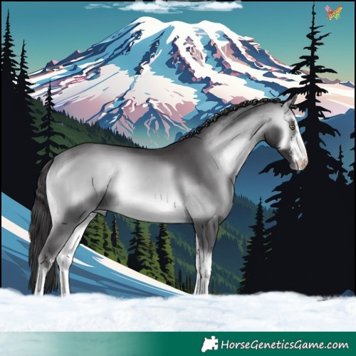 Horse Color:White Spotted Buckskin Chinchilla Onyx 