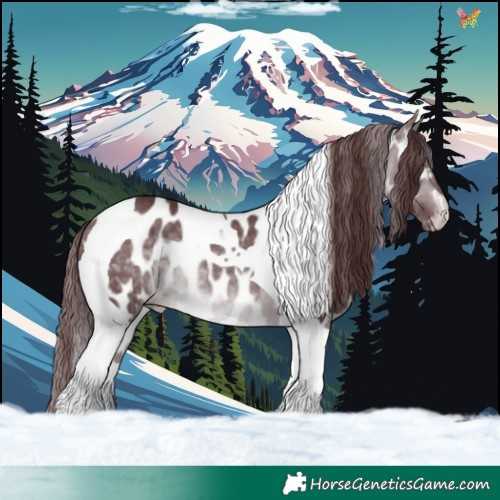 Horse Color:Chocolate Brown Chinchilla Tobiano Appaloosa 