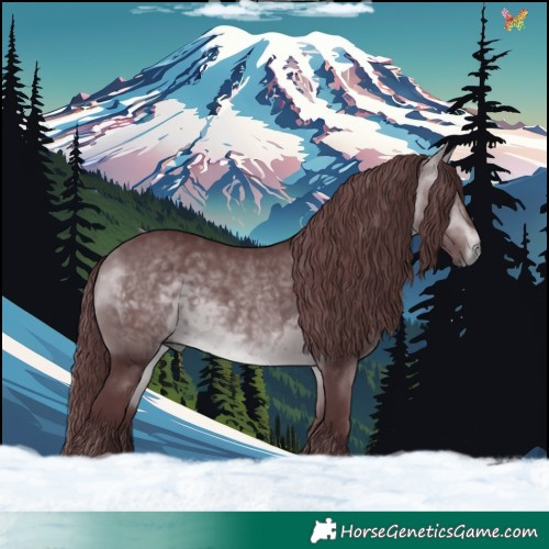 Horse Color:Chocolate Bay Chinchilla 