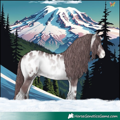 Horse Color:Chocolate Brown Chinchilla Onyx Appaloosa 