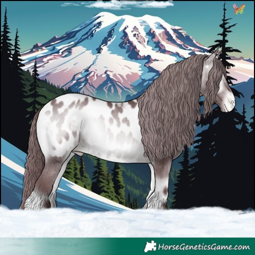 Horse Color:Chocolate Brown Chinchilla Onyx Appaloosa 