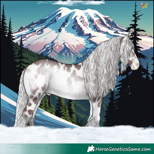 Horse Color:Chocolate Silver Brown Chinchilla Onyx Appaloosa 