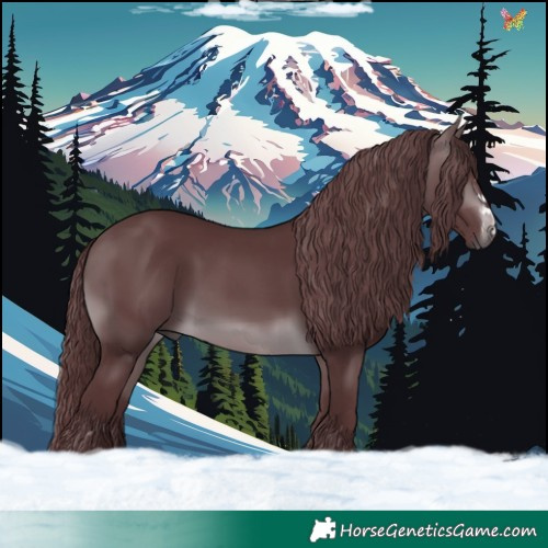 Horse Color:Chocolate Brown Chinchilla 