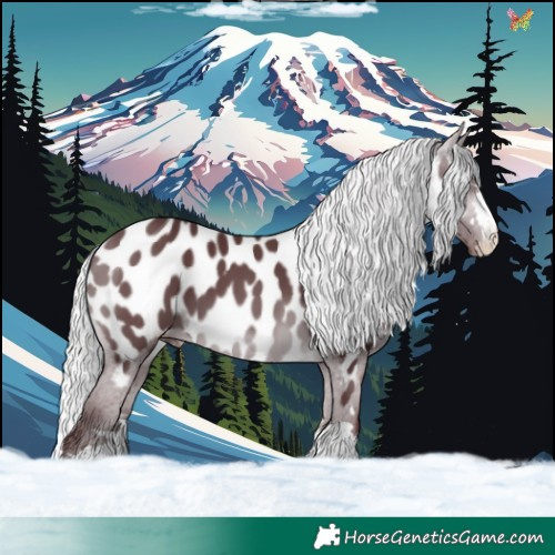 Horse Color:Chocolate Silver Brown Chinchilla Appaloosa 