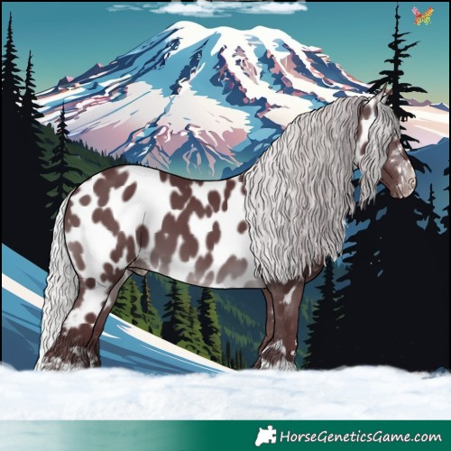 Horse Color:Chocolate Silver Brown Chinchilla Near Leopard 