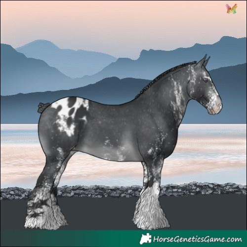 Horse Color:White Spotted Brown Chinchilla Varnish 