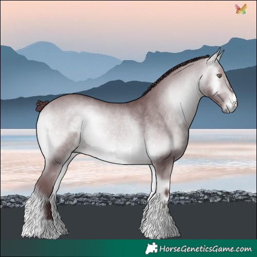 Horse Color:Chocolate Bay Chinchilla Onyx 