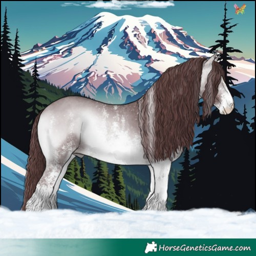 Horse Color:White Spotted Chocolate Bay Chinchilla Onyx 
