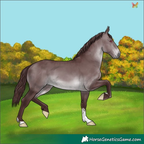 Horse Color:Chocolate Brown Chinchilla