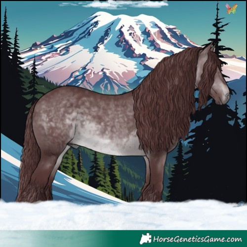 Horse Color:Chocolate Brown Chinchilla 