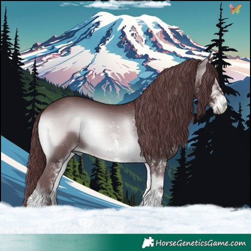 Horse Color:White Spotted Chocolate Brown Chinchilla Onyx 