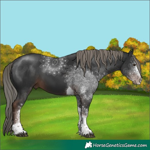 Horse Color:White Spotted Liver Chestnut Mushroom Tobiano 