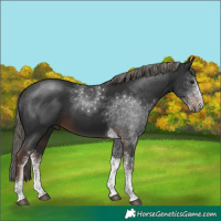 Horse Color:White Spotted Liver Chestnut Mushroom Tobiano 