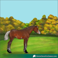 Horse Color:White Spotted Silver Brown 