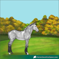 Horse Color:White Spotted Silver Brown Chinchilla Dun 