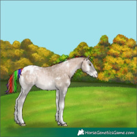 Horse Color:Painted White Spotted Smoky Blue Onyx Ice Pearl Appaloosa Rabicano 