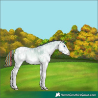 Horse Color:Painted White Spotted Smoky Blue Onyx Ice Pearl Splash Appaloosa Rabicano 