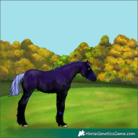 Horse Color:ERROR: UNKNOWN ANOMALY