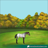 Horse Color:Brown Blanket 