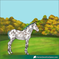 Horse Color:Platinum Painted White Spotted Silver Brown Dun Near Leopard 