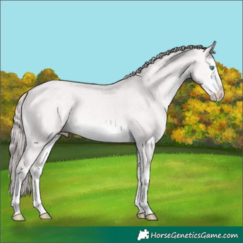 Horse Color:Platinum White Spotted Perlino Dun 