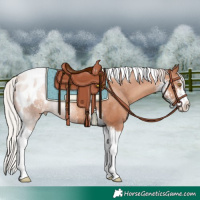 Horse Color:Silver Classic Champagne Sabino Tobiano Appaloosa Rabicano