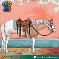 Horse Color:Silver Classic Champagne Sabino Tobiano Appaloosa Rabicano 